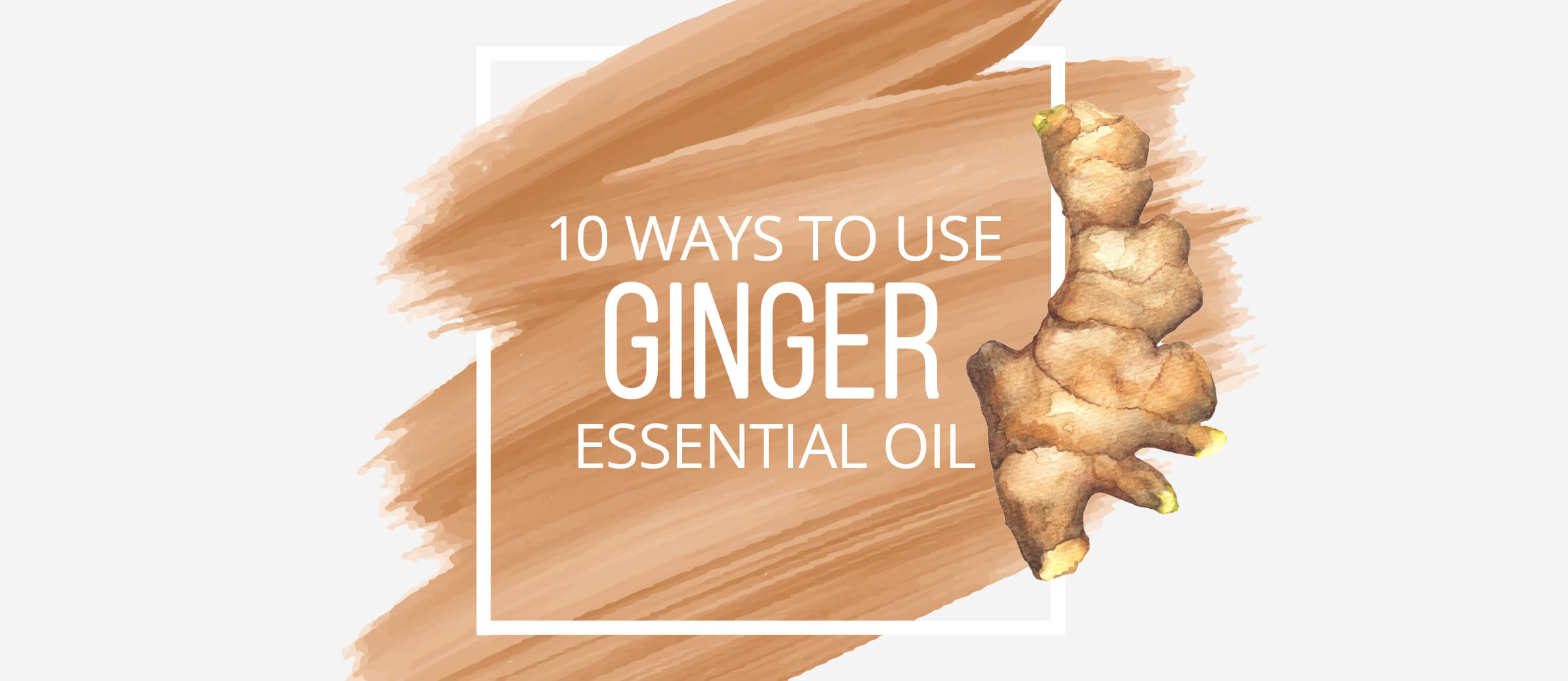 10 Ways to Use Ginger Essential Oil