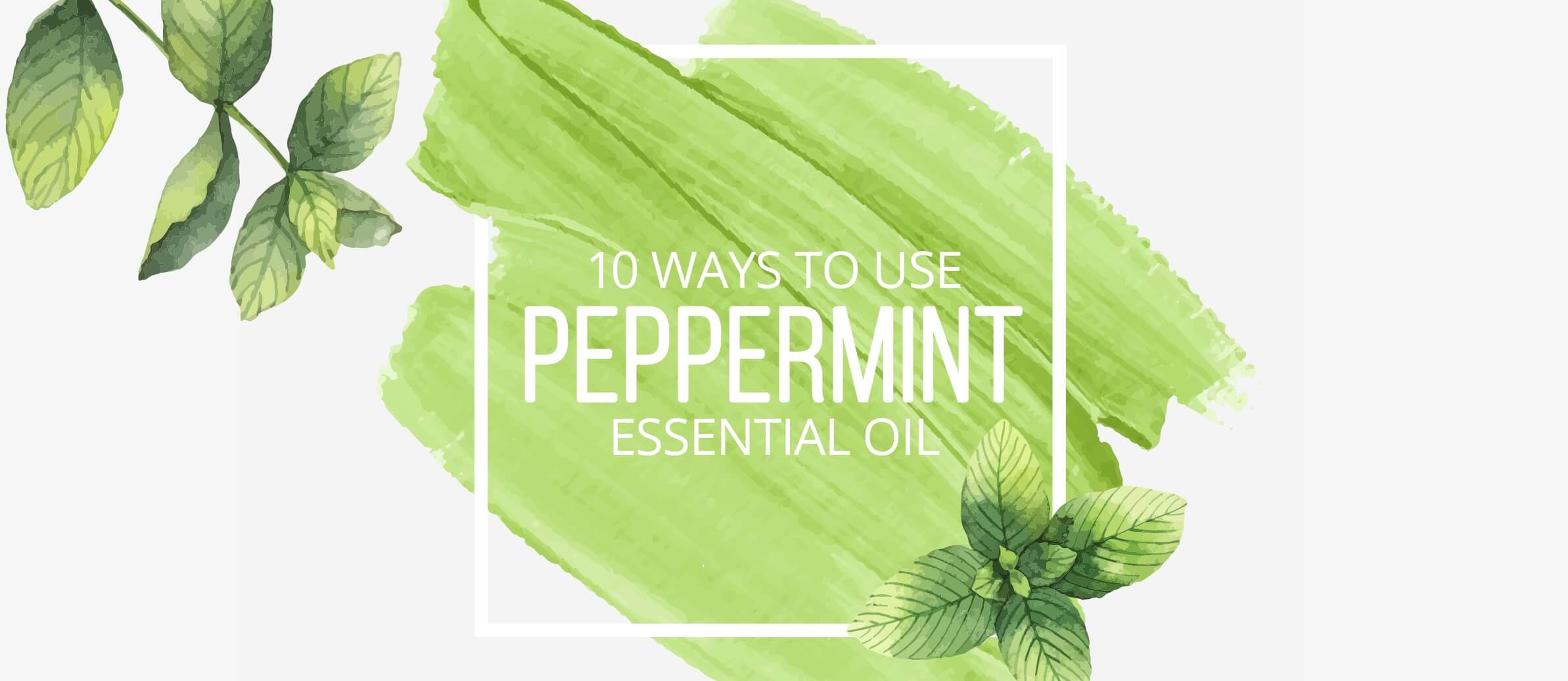 10 Ways to Use Peppermint Essential Oil