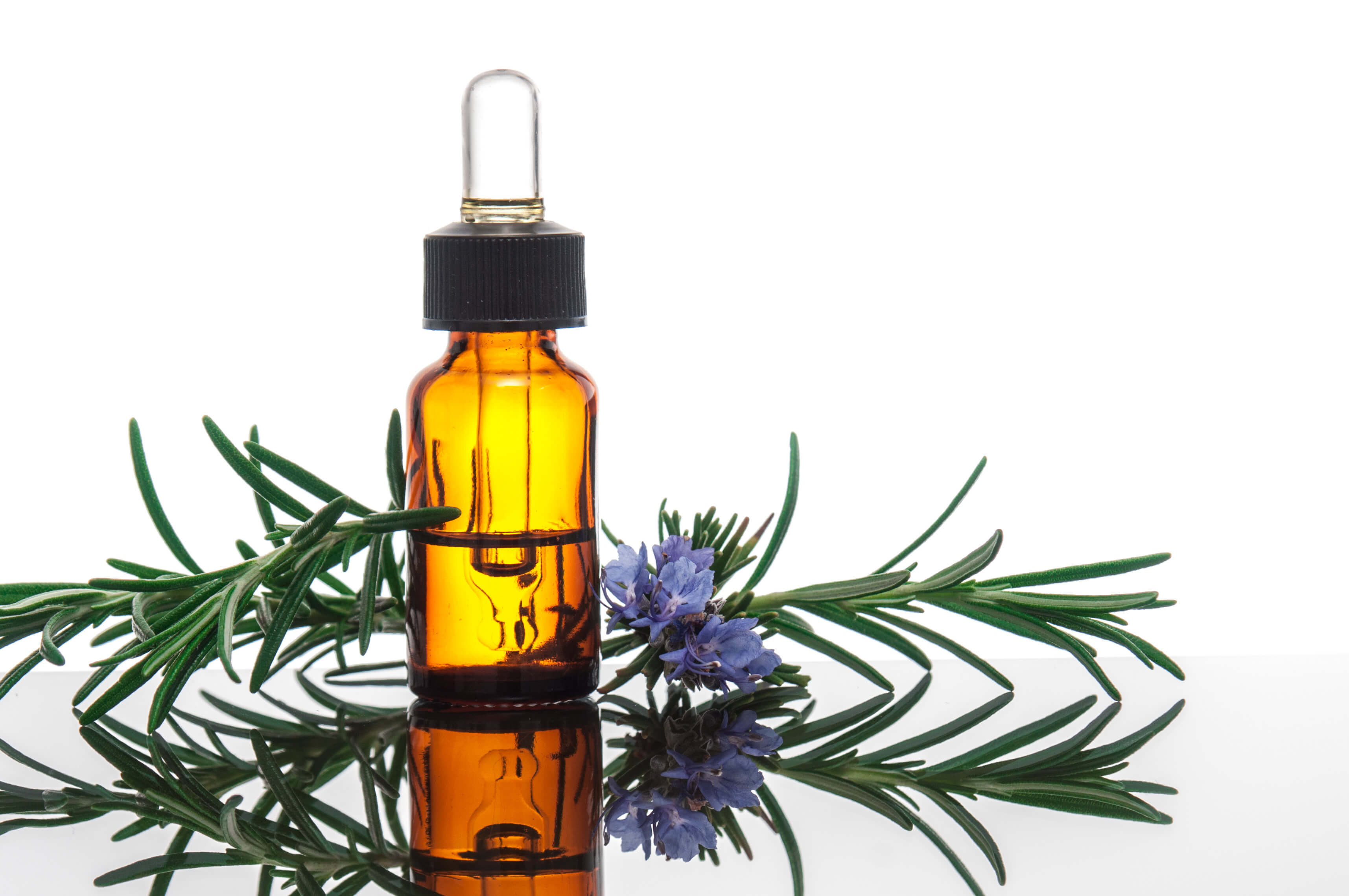 Essential Oil Blending by Botanical Family - Lindsey Elmore