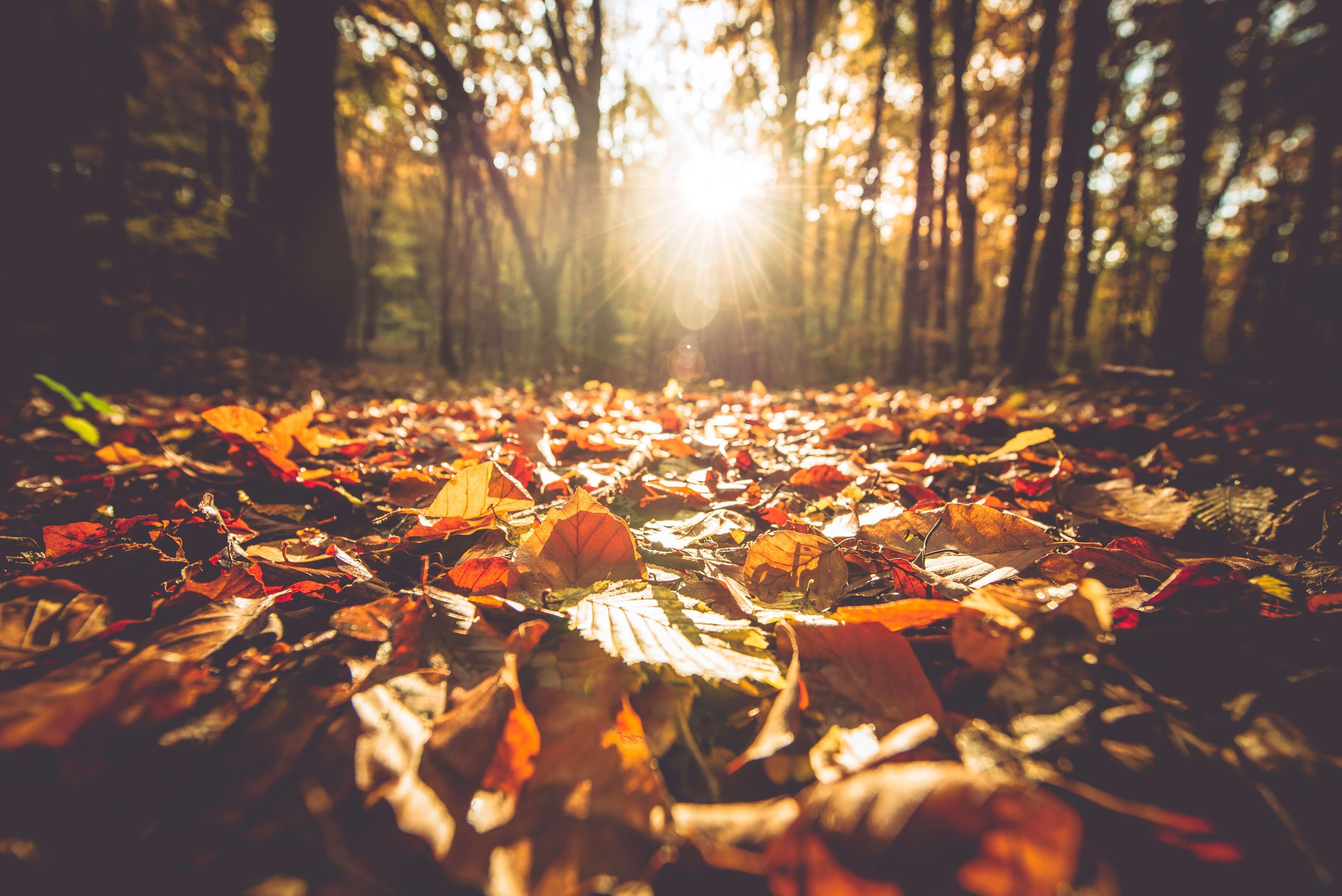 Celtic Name For Autumn Equinox