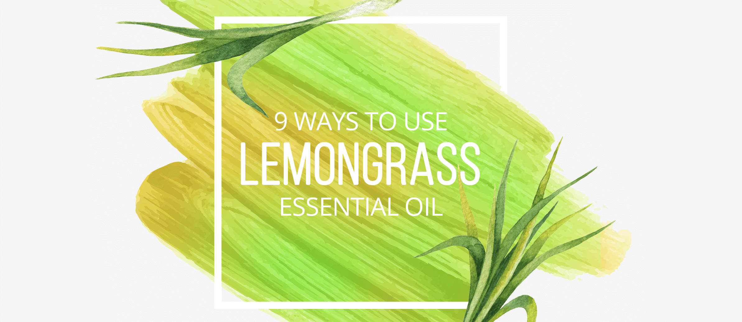 9 Ways to Use Lemongrass Essential Oil