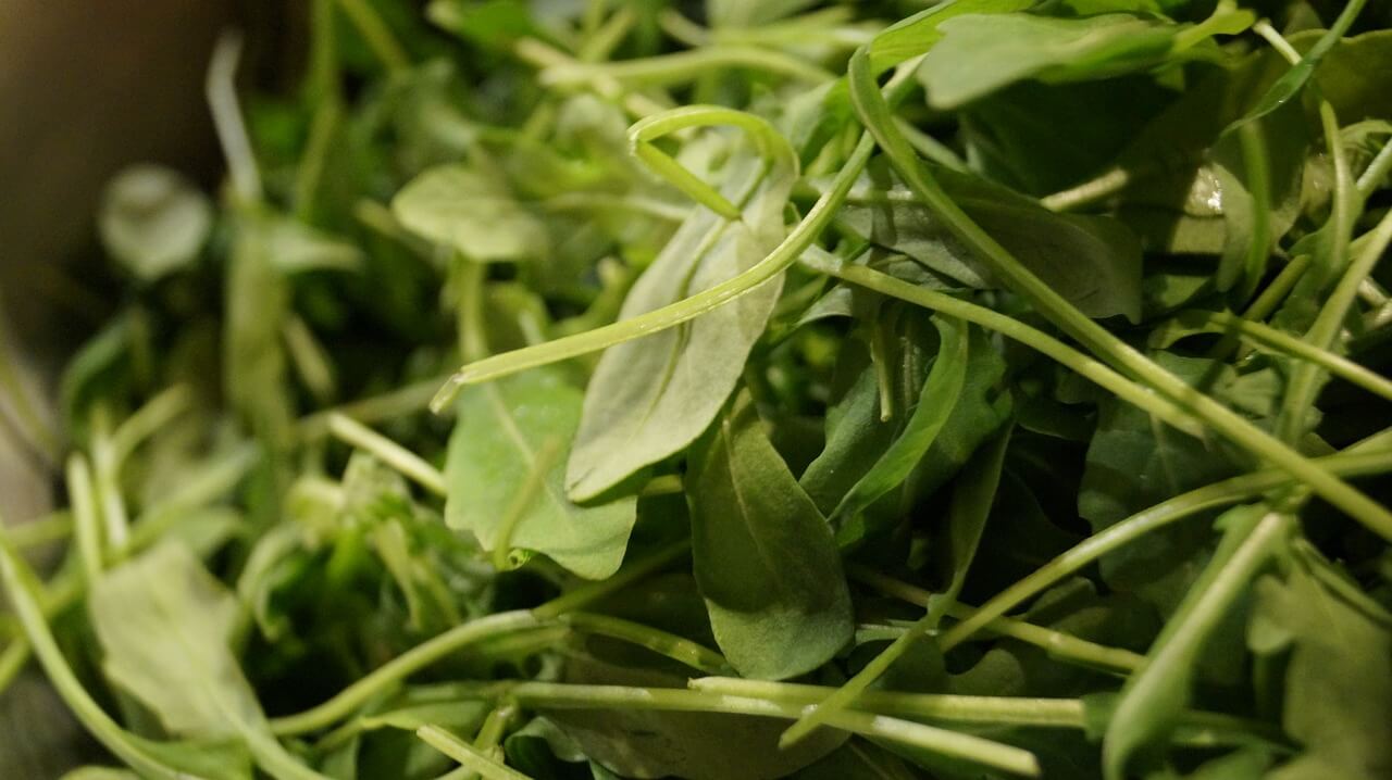 https://lindseyelmore.com/wp-content/uploads/2018/11/arugula.jpg