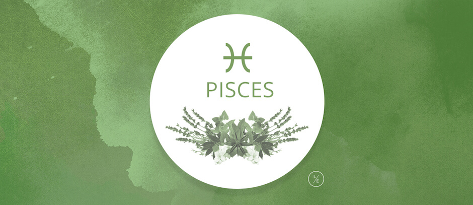 The Season of Pisces: Get ready to glide into spring