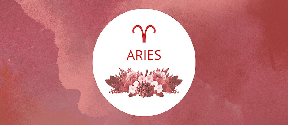 Aries-banner - Lindsey Elmore