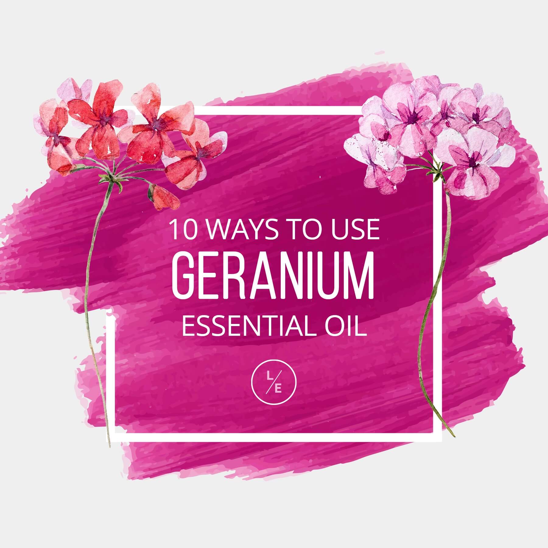 10 Ways to Use Geranium Essential Oil