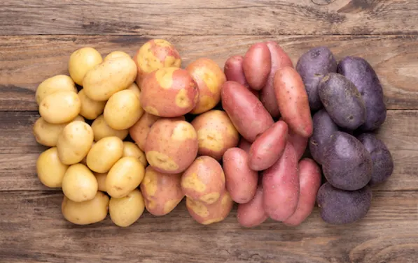 Variety of potatoes for Vegan Hearty Potato Soup
