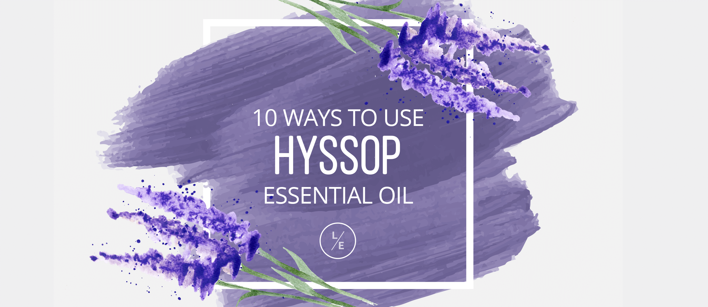 10 Ways to Use Hyssop Essential Oil