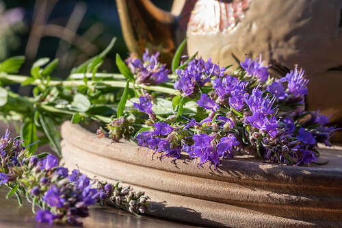 Lavender Sachet DIY - Lindsey Elmore