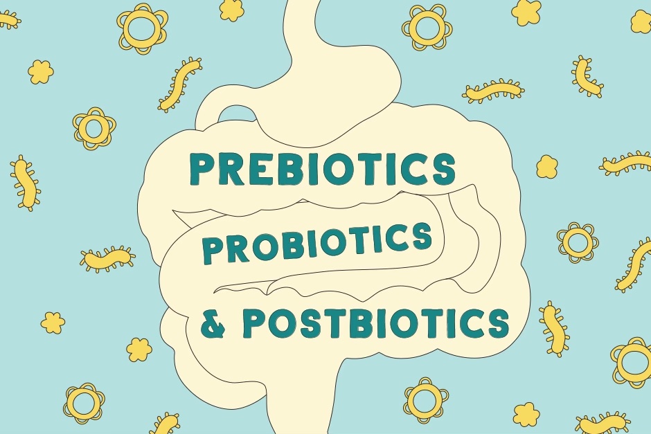 The Low Down on Pre-, Pro-, and Post-Biotics